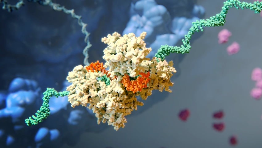 How RNA Interference (RNAi) Works – Video