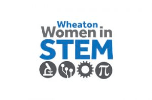 logo-stem